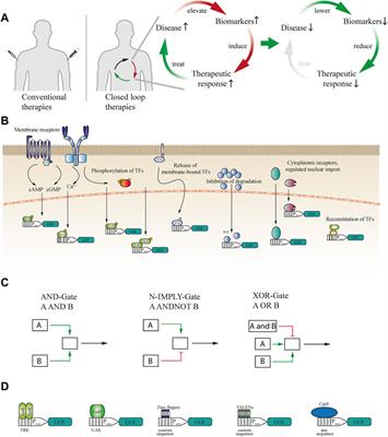 Biomarker-driven feedback control of synthetic biology systems for next-generation personalized medicine